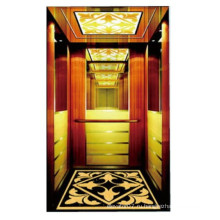 Хороший Qulity Luxury Machine RoomLess Passenger Lift использует лифты для дома
